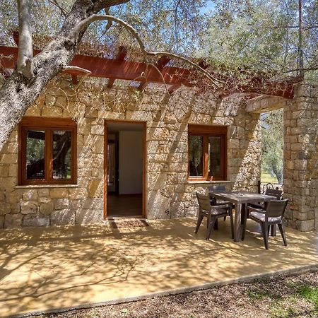 Stonehouse In Olives Apartment Ulcinj Exterior foto