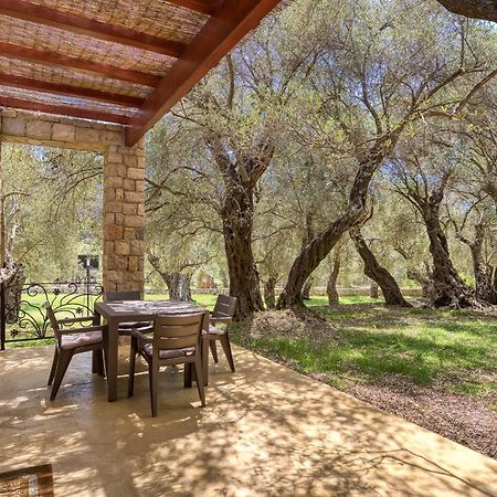 Stonehouse In Olives Apartment Ulcinj Exterior foto